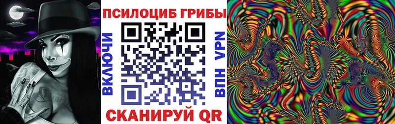 где купить наркоту Тюмень кракен ТОР Галлюциногенные грибы Cubensis