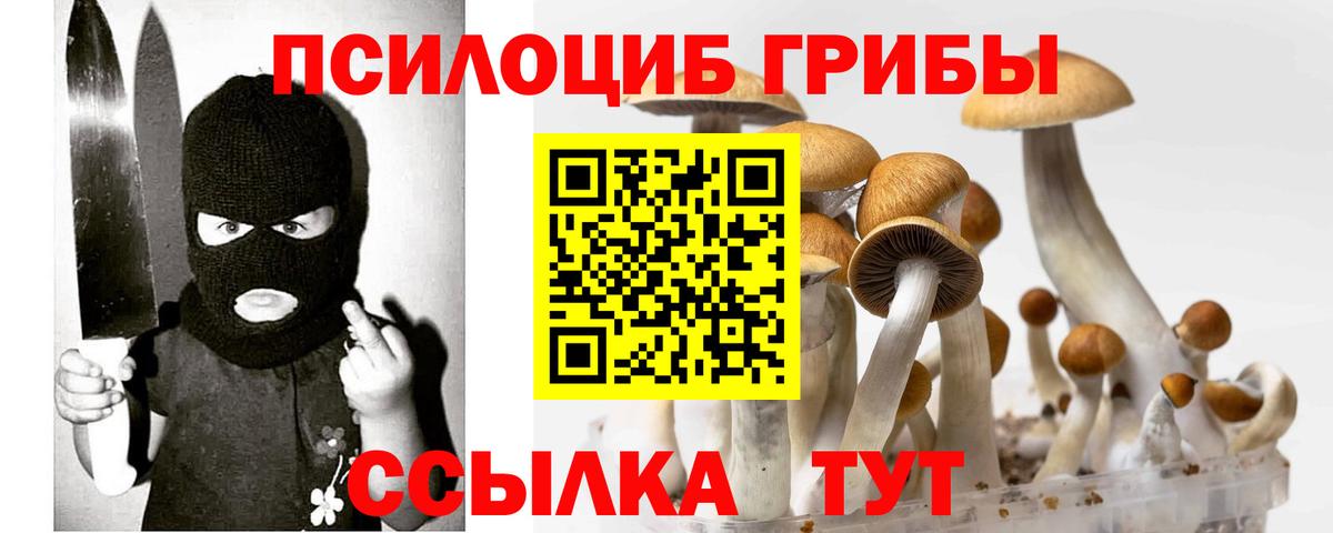 Галлюциногенные грибы Psilocybe Тюмень
