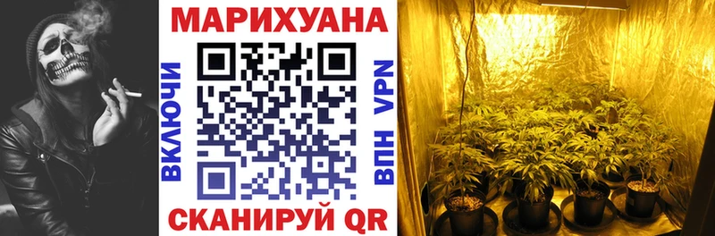 цены   Тюмень  МАРИХУАНА гибрид 